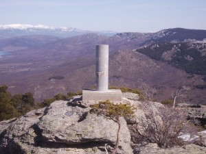 vertice geodesico